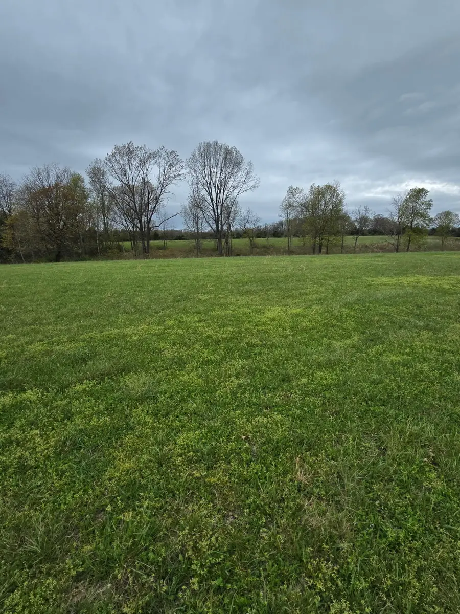 000 Adams Lane, Rogersville, MO 65742 - #2