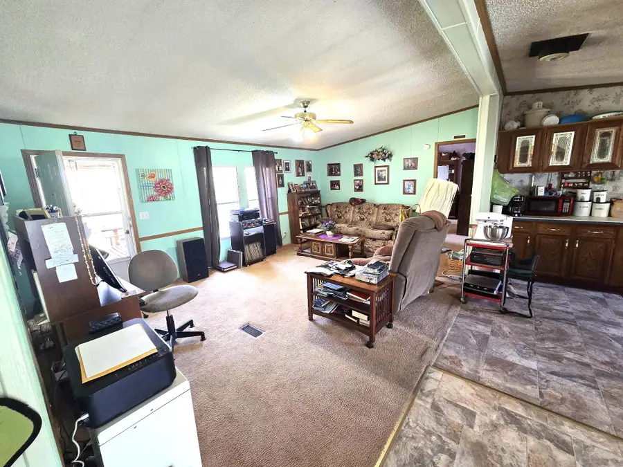 15318 Thomure Lane, Summersville, MO 65571 - #2