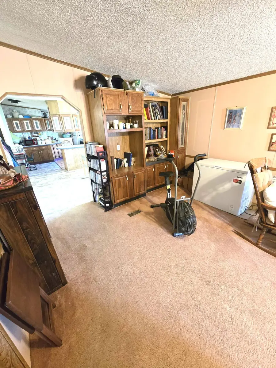 15318 Thomure Lane, Summersville, MO 65571 - #3