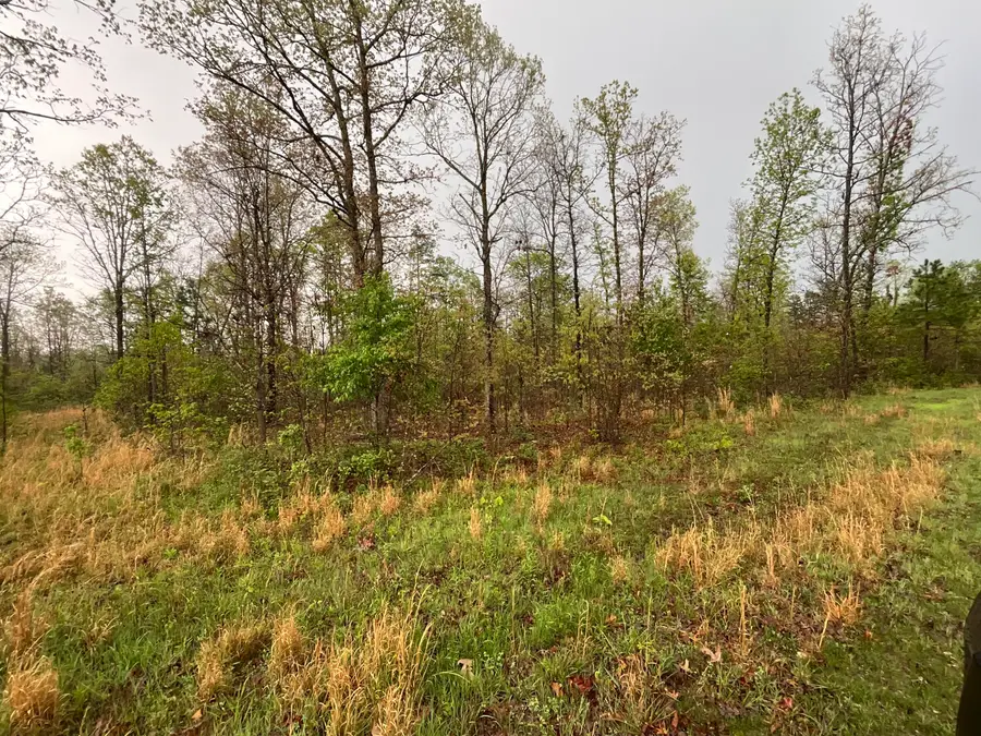 Lot 9 Lake Way, Winona, MO 65588 - #3