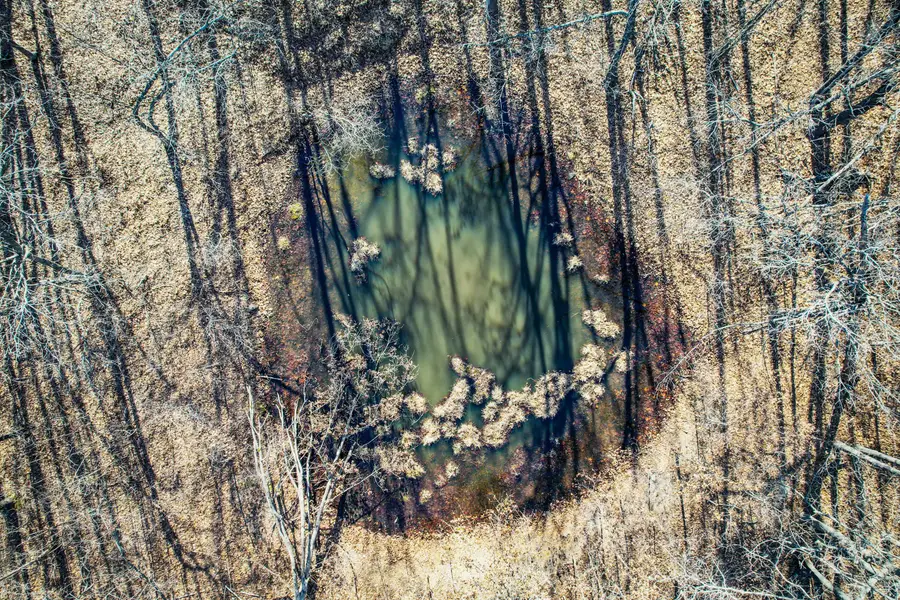 000 Ridge Trail Road #Lot B, Lebanon, MO 65536 - #3