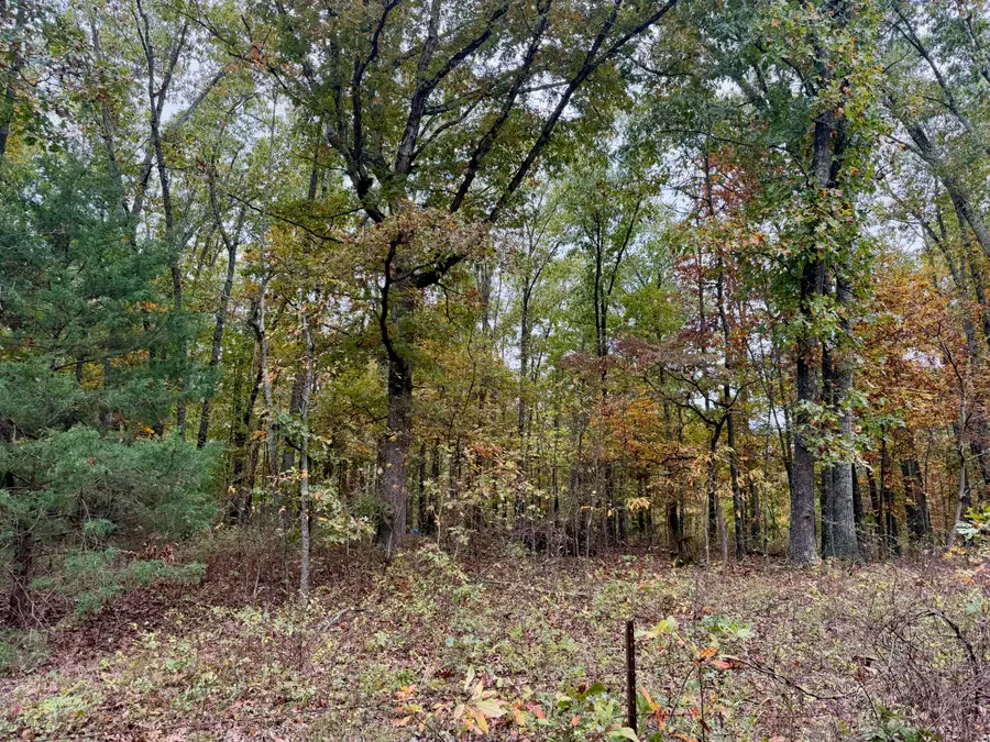 000 Spout Spring Road, Fordland, MO 65652 - #2