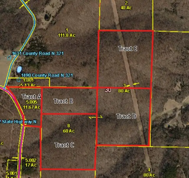 000 State Hwy N, Tract H, Ava, MO 65608 - #2