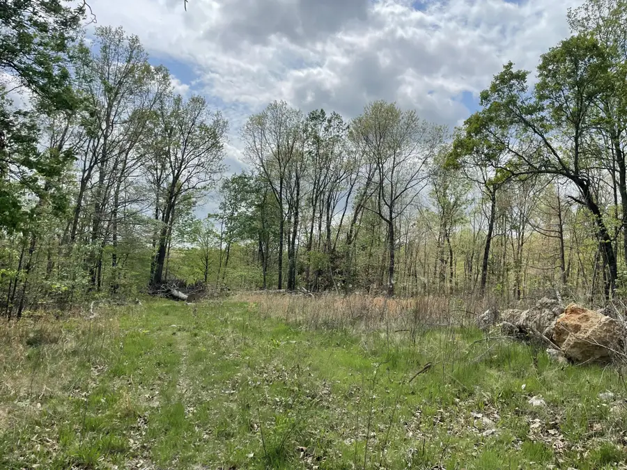 000 State Hwy N Tract B, Ava, MO 65608 - #3