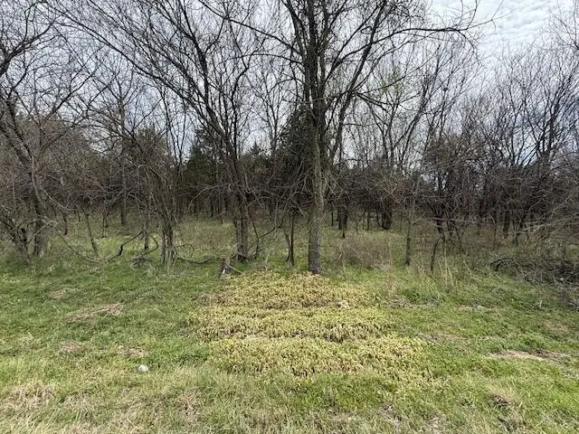 Xxx2 County Road 90, Sarcoxie, MO 64862 - #1