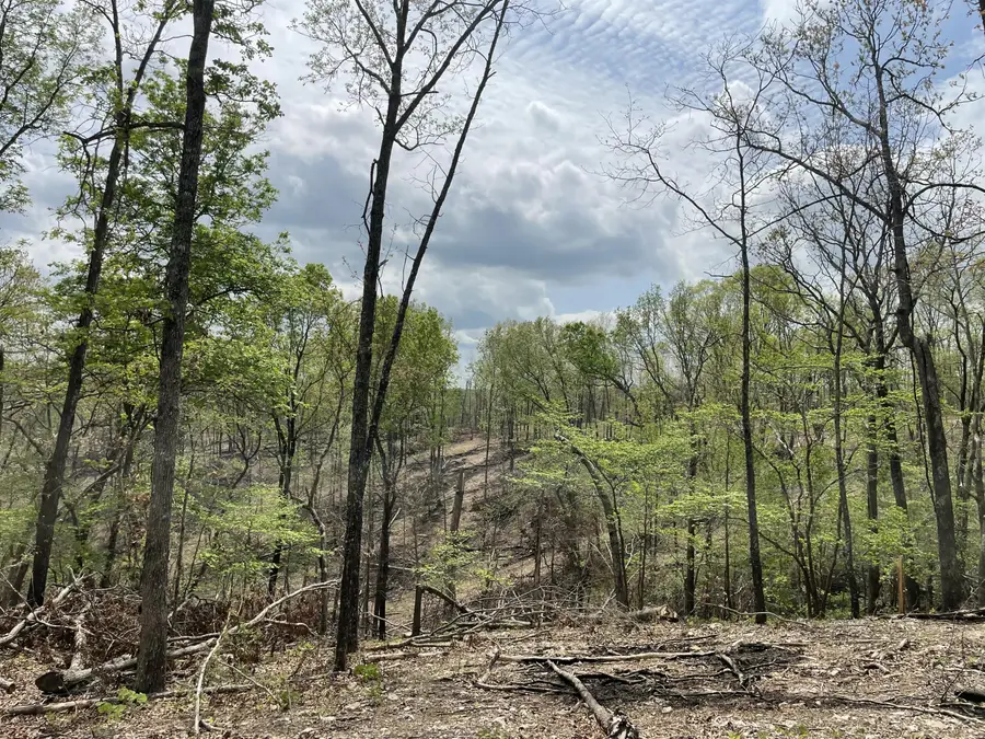 000 St Hwy N Tract E, Ava, MO 65608 - #3