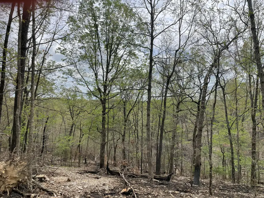 000 St Hwy N Tract F, Ava, MO 65608 - #3