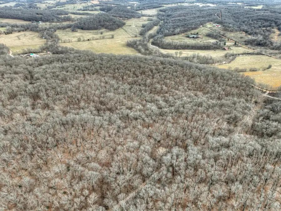 18284 1&B Gazelle Drive, Neosho, MO 64850 - #2