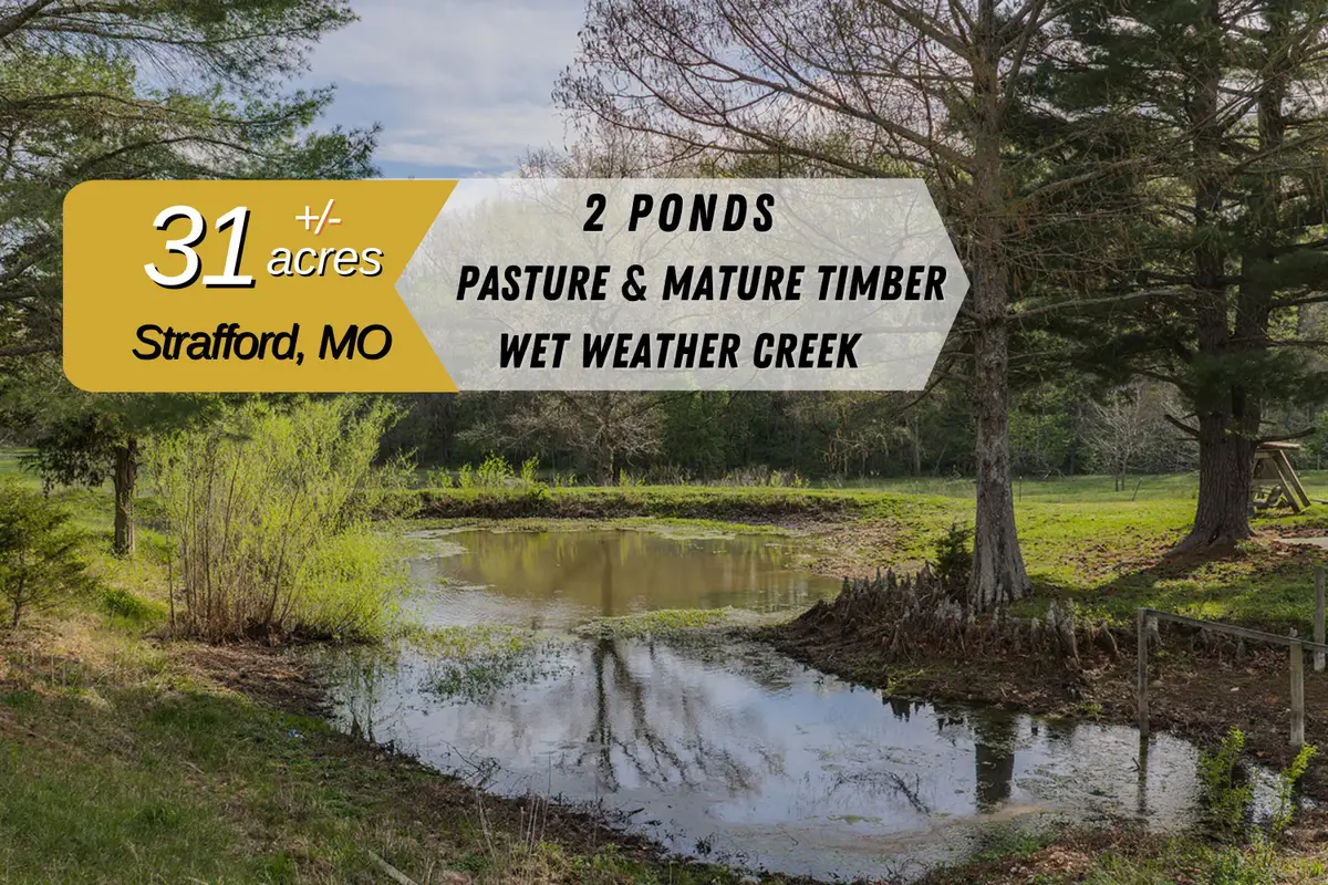 8431 E Division Street, Strafford, MO 65757 - #1