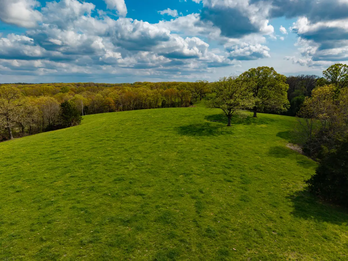 382 Iorg Lane, Sparta, MO 65753 - #1