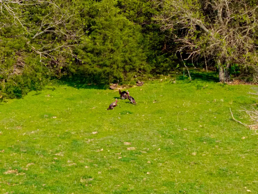 382 Iorg Lane, Sparta, MO 65753 - #2