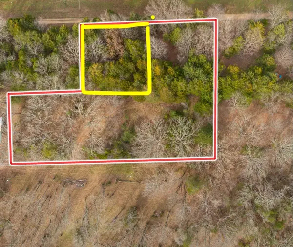 Lot 4 Whittaker Lane, Lampe, MO 65681