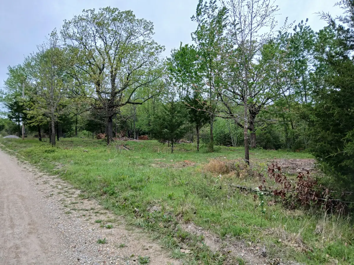 23774 Farm Road 2085, Aurora, MO 65605 - #1