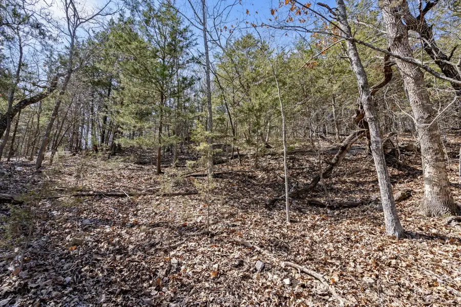 00 Map Lane, Branson, MO 65616 - #3
