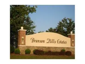 198 Royal Dornoch Drive, Branson, MO 65616 - #1