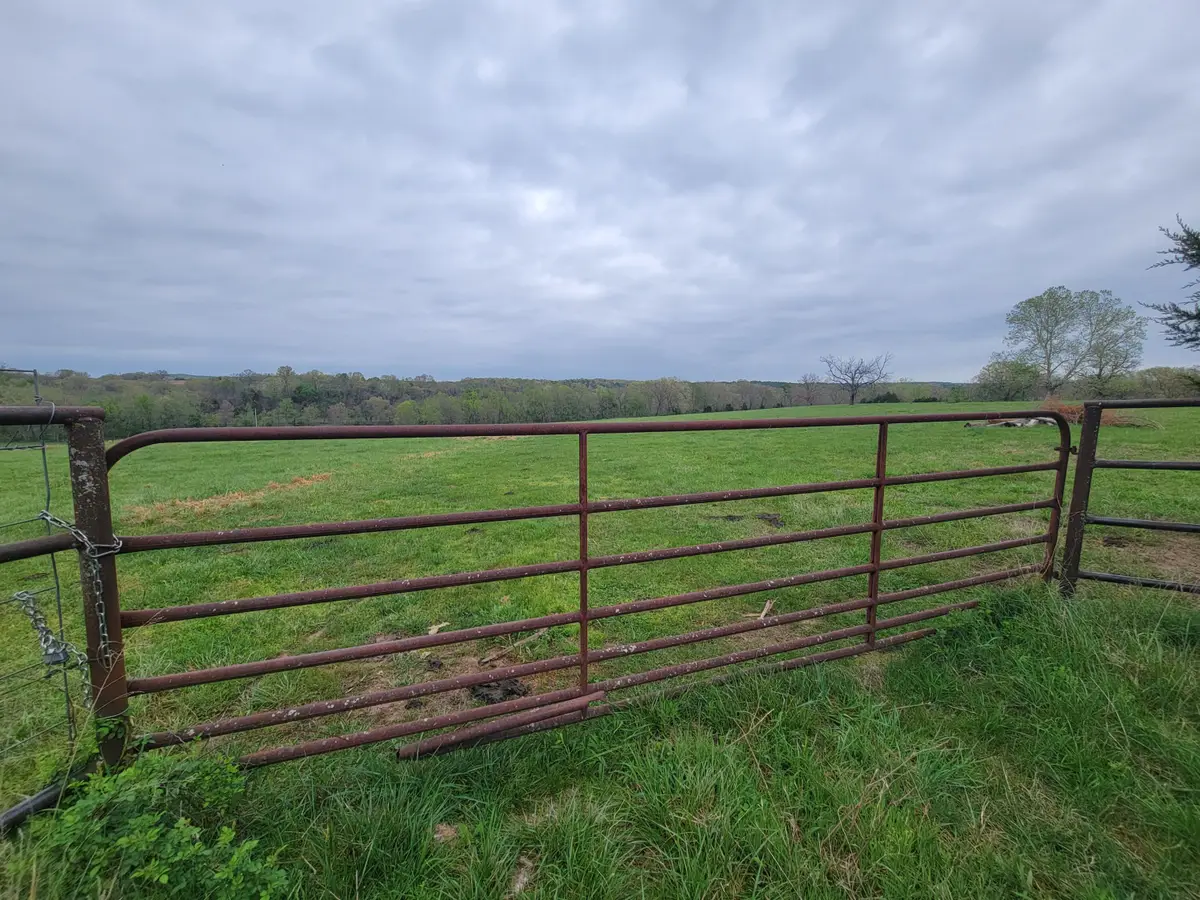 000 Missouri Highway 95, Wasola, MO 65773 - #1