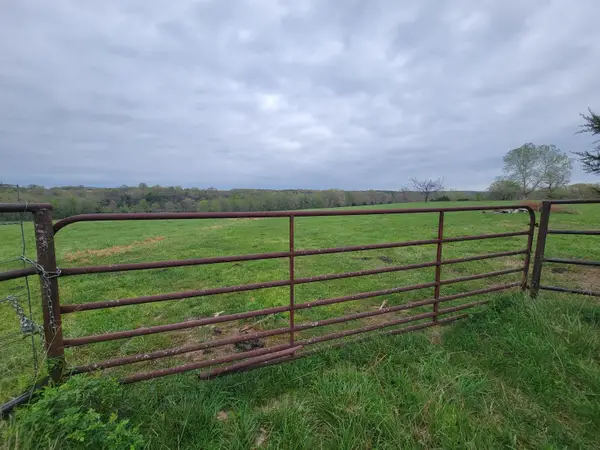 000 Missouri Highway 95, Wasola, MO 65773