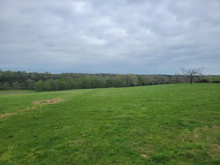 000 Missouri Highway 95, Wasola, MO 65773 - #2