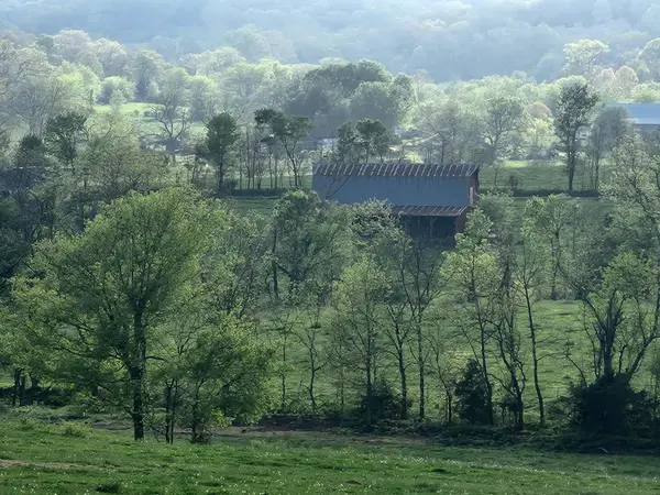 Tbd Little Creek Road, Mountain Grove, MO 65711