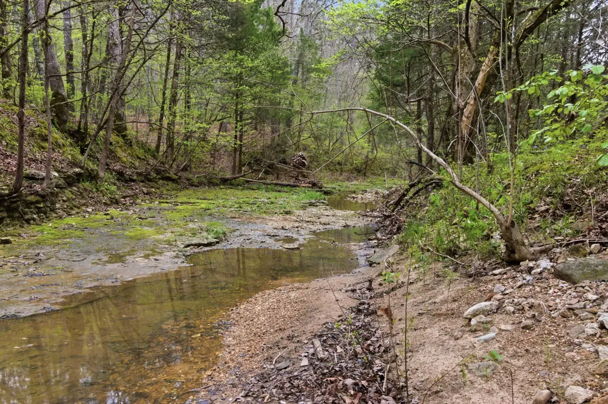 000 Highway 32, Licking, MO 65542 - #1