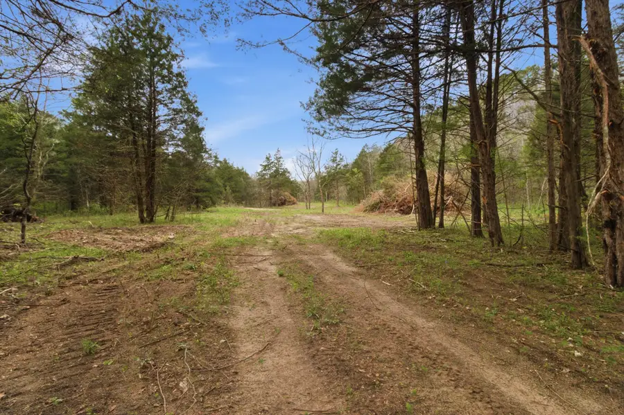 000 Highway 32, Licking, MO 65542 - #2