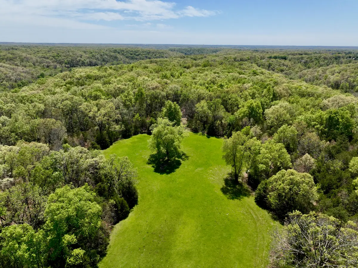 000 Corner Road, Rogersville, MO 65742 - #1