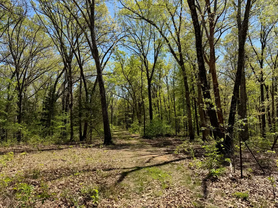 000 Corner Road, Rogersville, MO 65742 - #3