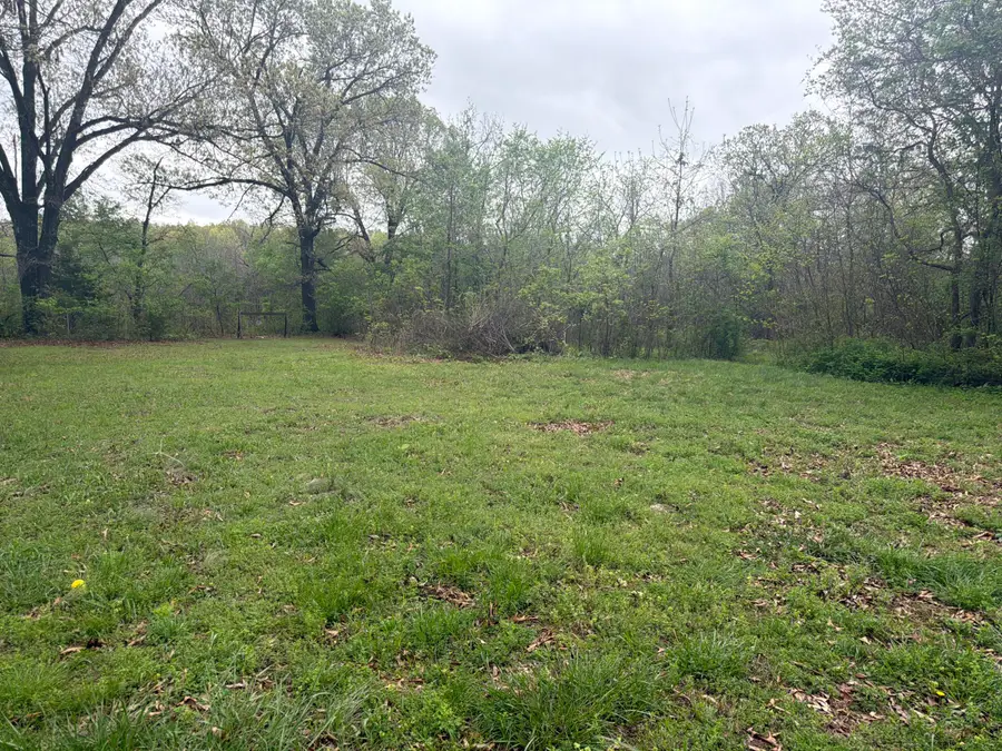 10187 Otter Drive, Neosho, MO 64850 - #2