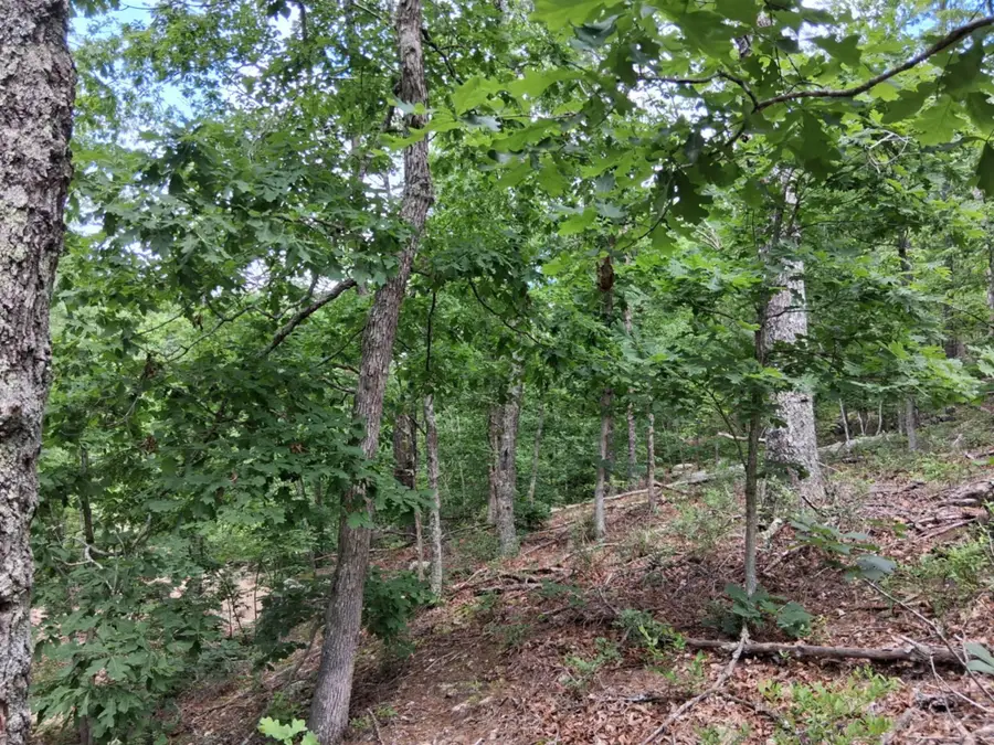 Tbd Golden Drive, Raymondville, MO 65555 - #2