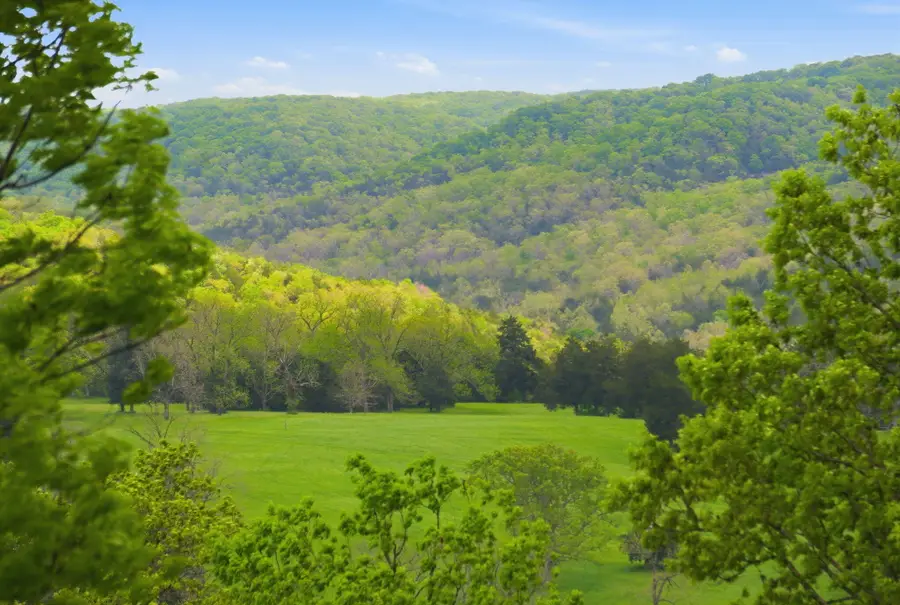 Lot 121 Meadowview Lane, Saddlebrooke, MO 65630 - #3