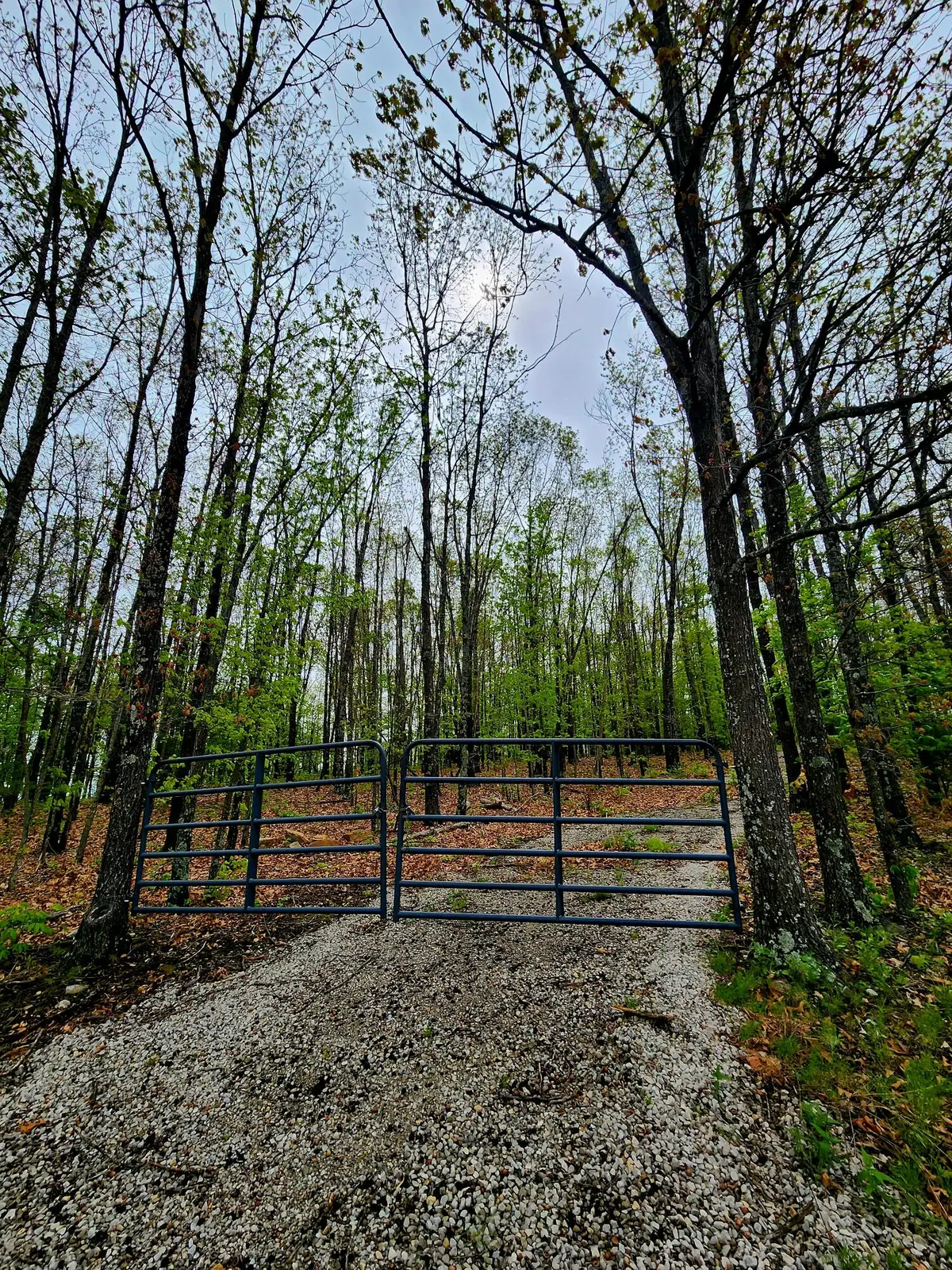 000 State Highway O, Ava, MO 65608 - #1