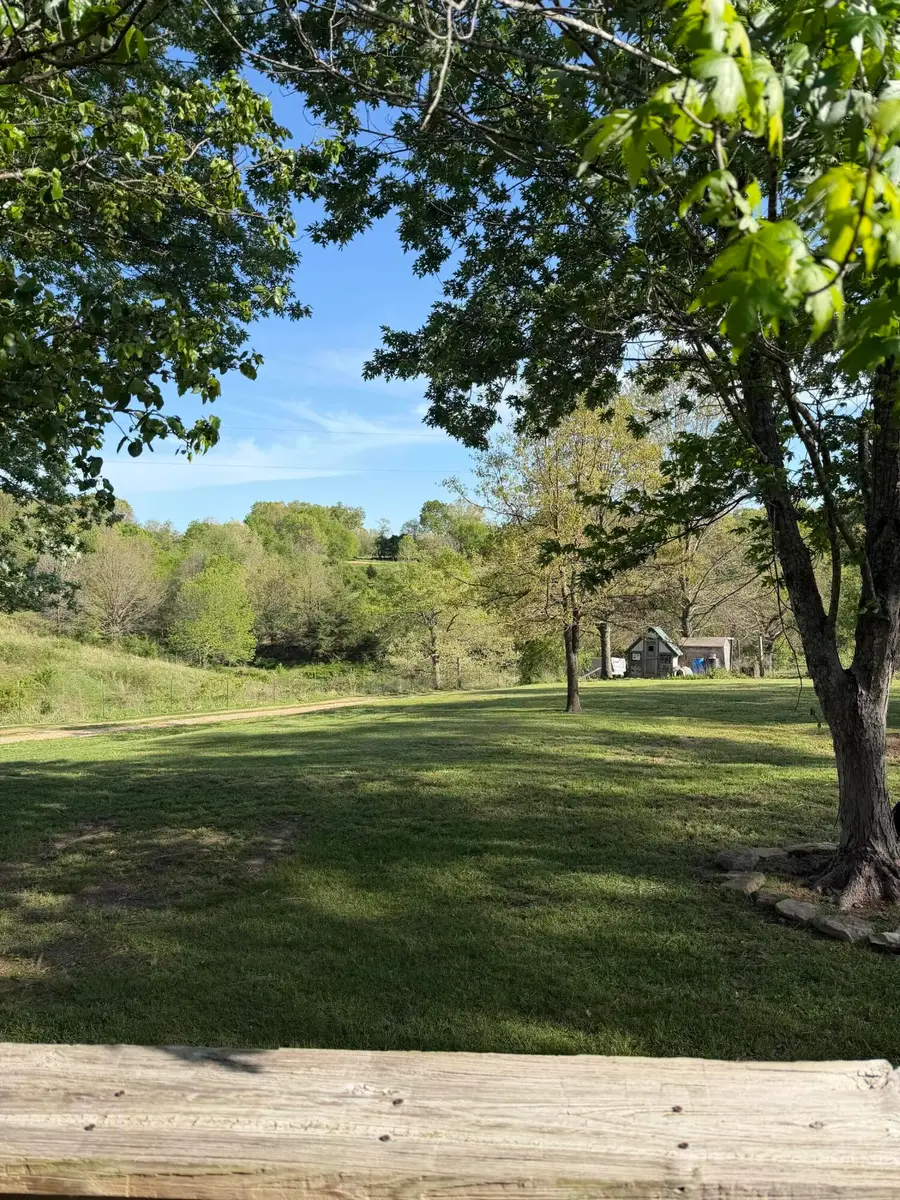 238 Hayes Spring Drive, Crane, MO 65633 - #2