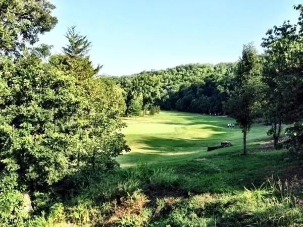 1311 Stoneycreek Lane, Branson West, MO 65737 - #2