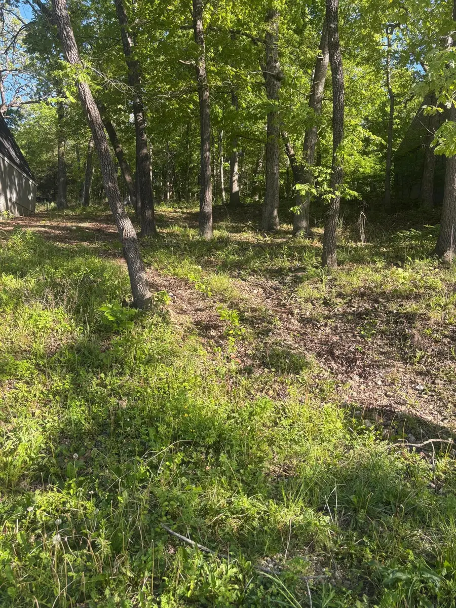Tbd Black Oak Resort Lane, Lampe, MO 65681 - #3
