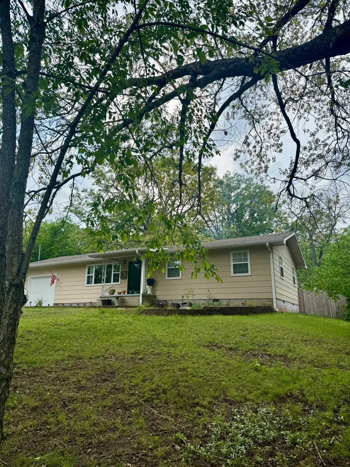 718 S Lincoln Street, Neosho, MO 64850 - #1