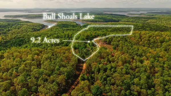 178 Round Robin Lane, Theodosia, AR 65761