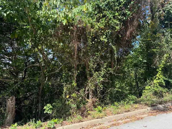 Lot 22 Rose Oneill Drive, Branson, MO 65616