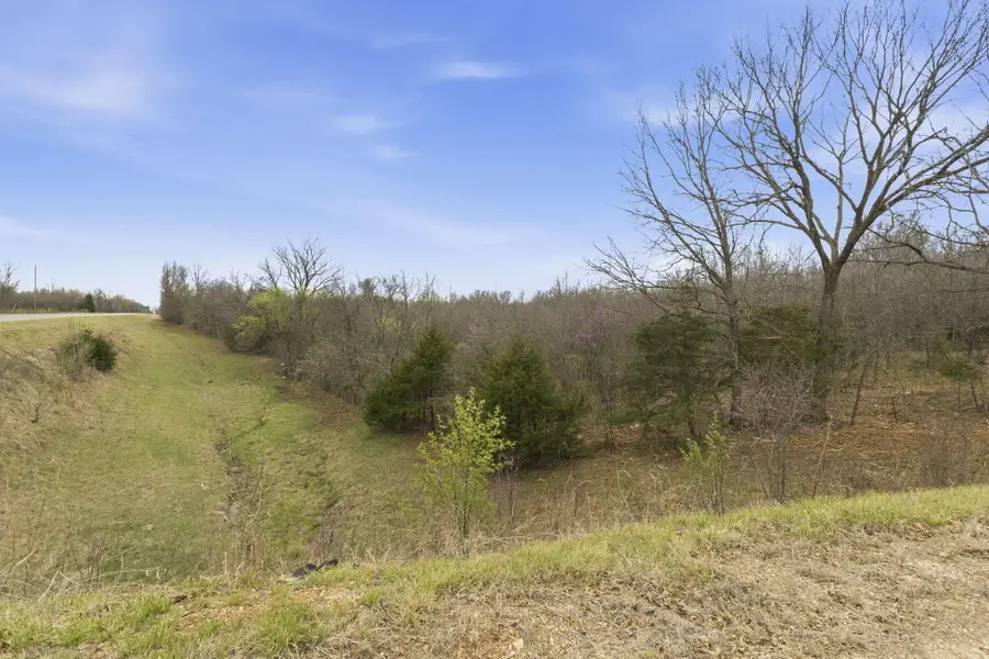 Lot 12 Ireson Estates, Stockton, MO 65785 - #2