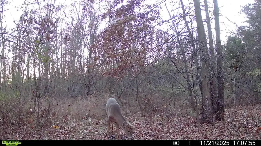 000 E 1300 Road E, Stockton, MO 65785 - #3