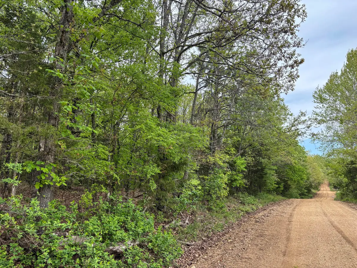 000 County Road 122, Wasola, MO 65773 - #1