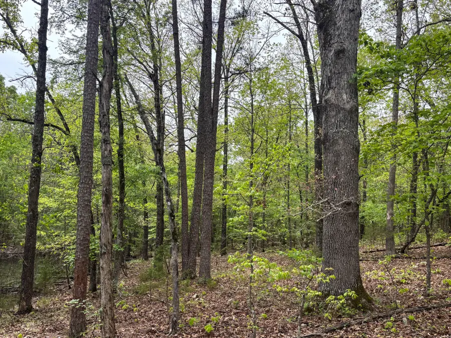 000 County Road 122, Wasola, MO 65773 - #3