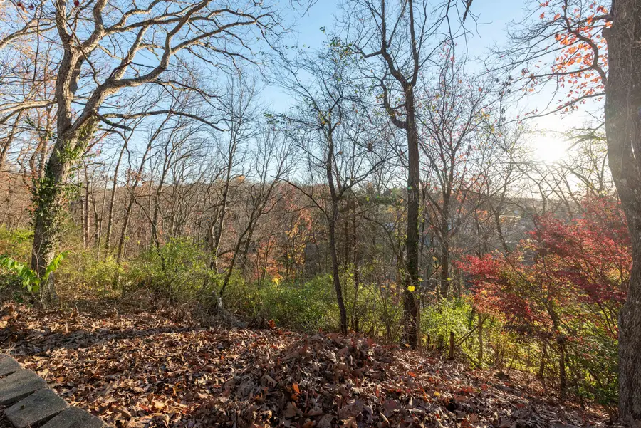 6396 E Skyline Drive, Springfield, MO 65809 - #3