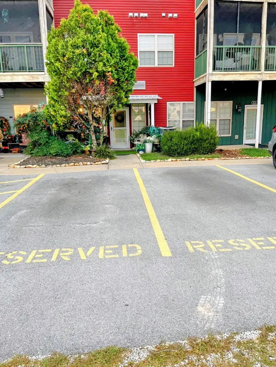 180 Grace Chapel Road #110, Blue Eye, MO 65611 - #3