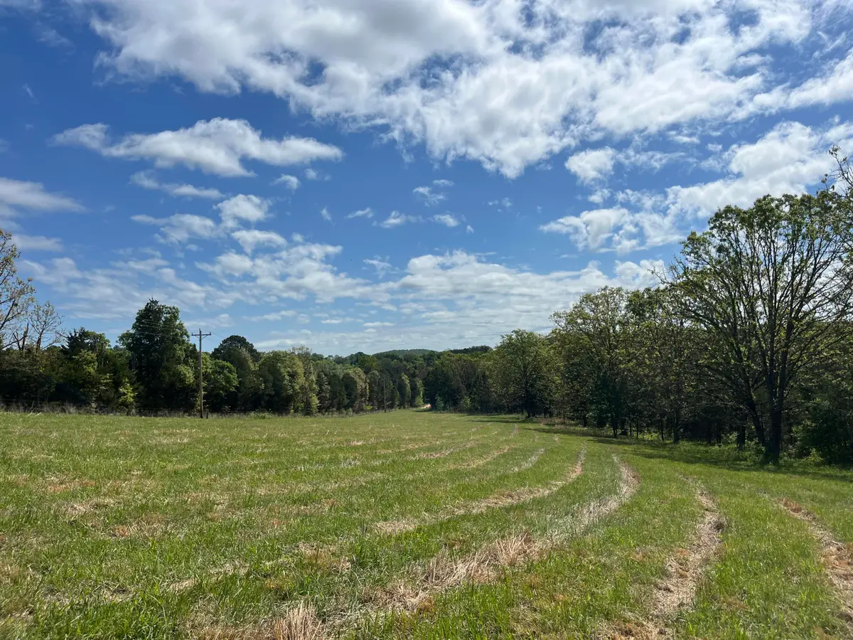 000 County Road 350, Drury, MO 65638 - #1