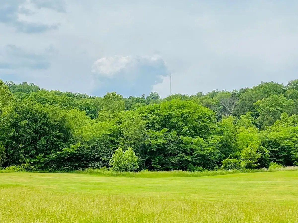 Lot 18 Deer Run, Van Buren, MO 63965 - #1