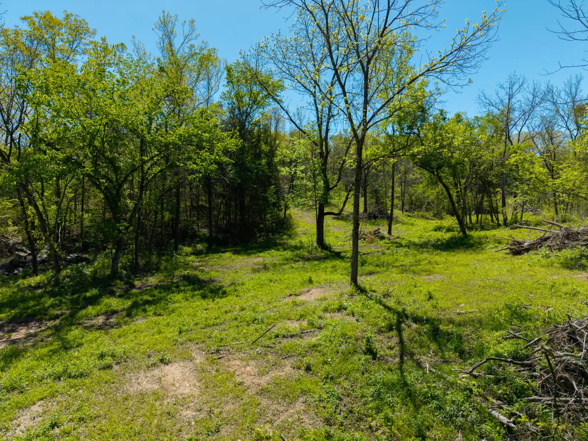 000 County Road 132, Wasola, MO 65773 - #1