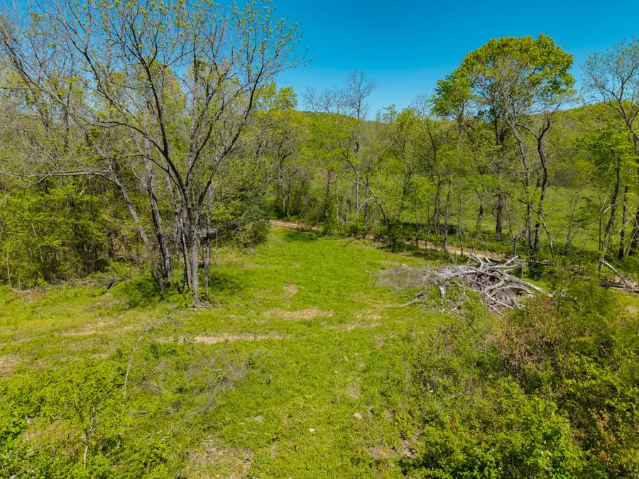 000 County Road 132, Wasola, MO 65773 - #2