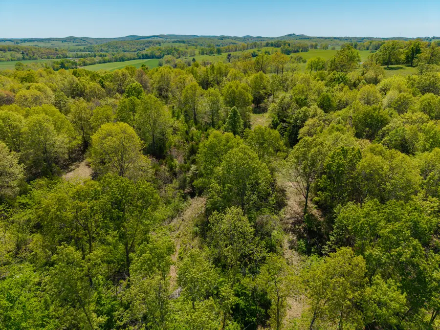 000 County Road 132, Wasola, MO 65773 - #3