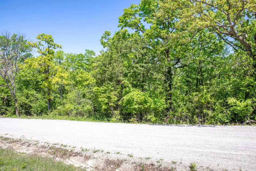 250 Oak Drive Lots 2 & 23, Ridgedale, MO 65739 - #3