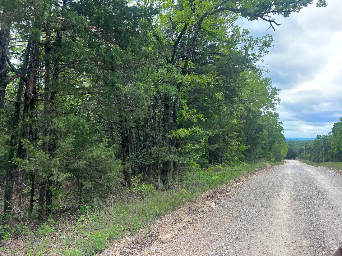 Tbd 000 County Road 656, Theodosia, MO 65761 - #1